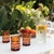 Handmade colored tumblers in blown glass, available in six different colors. Design by Federico de Majo 2006. Set of 6...