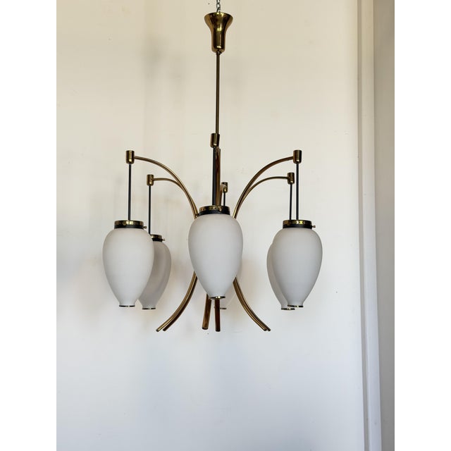Six-Light Chandelier with White Opaline Diffusers by Bruno Gatta for Stilnovo, 1950 For Sale - Image 12 of 12