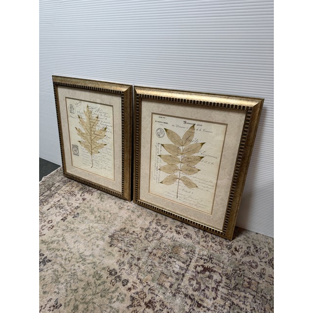 Botanical Collection Plates, Set of Two For Sale In San Francisco - Image 6 of 12