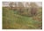 Hans Richard Volkmann, Weidenplan, 1896, Oil Painting on Canvas For Sale