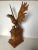 Arts & Crafts Era Carved Eagle Sculpture With Inset Clock For Sale - Image 10 of 10