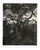 Armando Pizzinato, Moonlight, Etching, 1964 For Sale