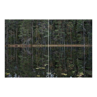 "Deep_Mirroring_Forest_011" Diptych, Limited Edition Fine Art Photograph by Bernhard Lang, Set of 2 For Sale