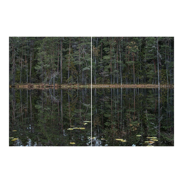 "Deep_Mirroring_Forest_011" Diptych, Limited Edition Fine Art Photograph by Bernhard Lang, Set of 2 For Sale