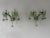 C 1920 Rare Pair Green Murano Flowers Ribbon Crystal Sconces One of Kind For Sale - Image 4 of 12