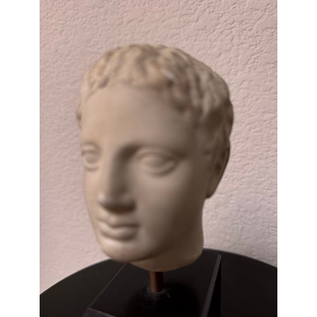 Sculpture Materials Antique-Style Classical Roman Head Bust on Custom Stand For Sale - Image 7 of 8