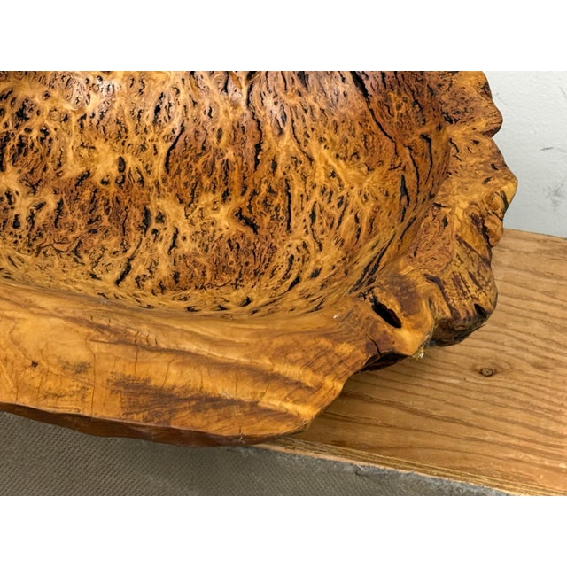 Live Edge Rustic Burl Wood Bowl For Sale - Image 12 of 12