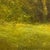 Upstate, Green by Shawn Krueger | Oil on Linen Landscape with Trees and Greenery For Sale - Image 4 of 4