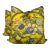 Pierre Frey “A La Table Du Roi” in Canari 24” Pillows-a Pair For Sale