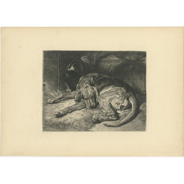 W. Wise, Sleeping Hound with a Plumed Helmet, 1880, Etching For Sale - Image 3 of 9