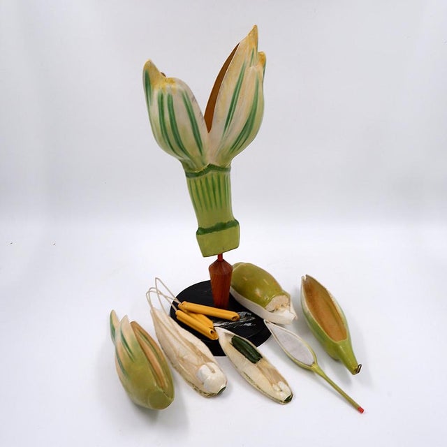 Educational model - 1940s - Botanical Measures : Base : Ø 15cm 18x15cm H:47cm This object is a vintage botanical model, an...