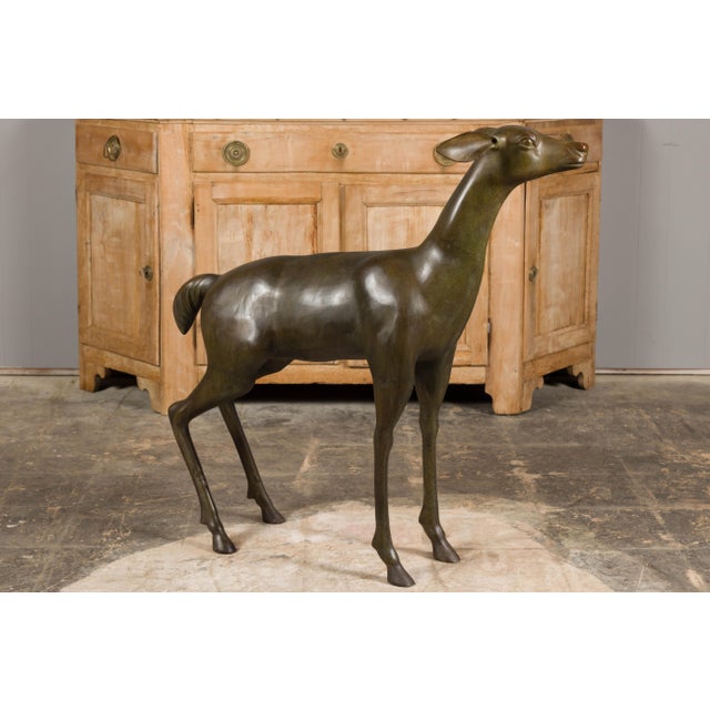 Realism Continental 1930s Life Size Bronze Sculpture of a Deer Standing on its Four Legs For Sale - Image 3 of 12