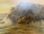Large Vintage Coastal Seascape Oil Painting Signed Pierro Ocean Waves Framed For Sale - Image 9 of 12