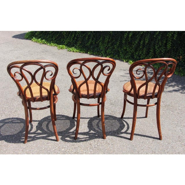 19th Century Bistro Chairs in the style of Thonet, 1890s, Set of 8 For Sale - Image 8 of 14