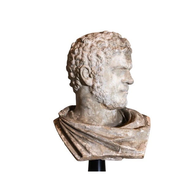 Grand Tour Antique Plaster Bust For Sale - Image 3 of 5