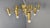 Mid century Gaetano Sciolari chandelier with 13 lightpoints The chandelier is in very good condition and in full working...