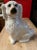 Antique Decorated Staffordshire Spaniel Dog, Circa 1860's For Sale - Image 10 of 14
