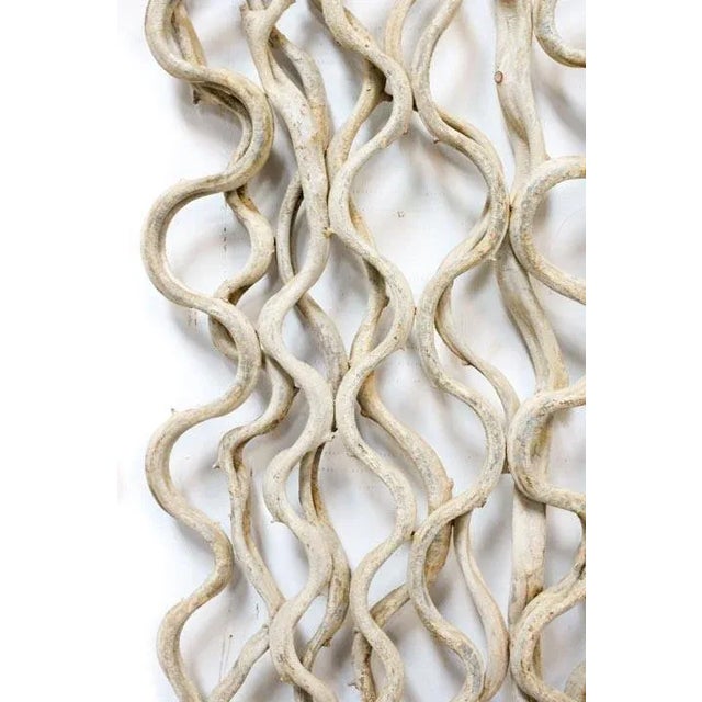 Natural Vine Hanging Rectangle Wall Art Single For Sale - Image 6 of 9