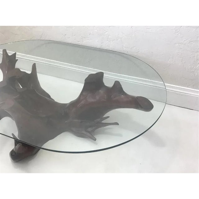 Beautiful Mid Century Spanish large oval coffee table made from exceptionally Large walnut root base with thick 1/2” glass...