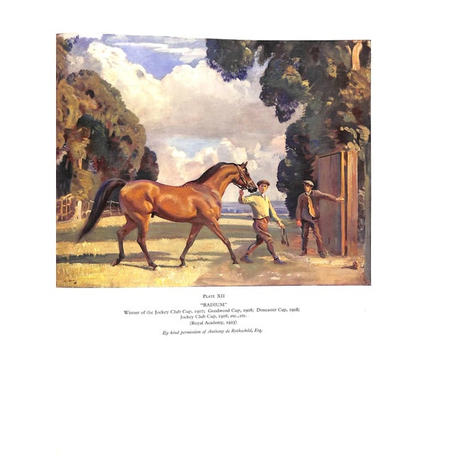 Paper "Pictures of Horses and English Life" 1939 Munnings, a.j. , r.A. For Sale - Image 7 of 8