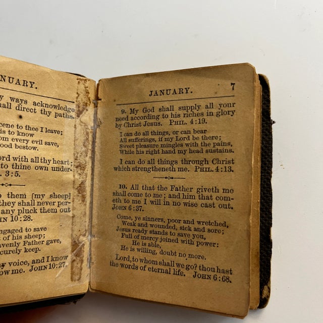 Animal Skin Antique Miniature Leather Book Set/3 For Sale - Image 7 of 11