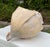 Vintage Oversized Hand-Painted Oversized Conch Shell Sculpture For Sale - Image 4 of 12