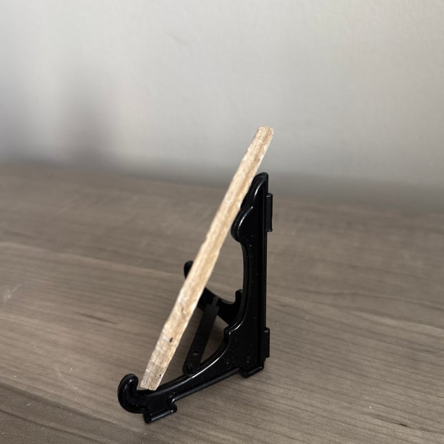 Fossil Knightia Fish From the Green River Formation in Wyoming - With Stand. For Sale In New Orleans - Image 6 of 7