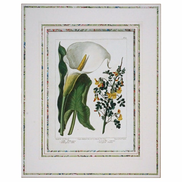 Late 20th Century Pair of Gilt-Framed Large Botanical Prints: Calla Lily & Passion Flower For Sale - Image 4 of 7