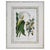 Late 20th Century Pair of Gilt-Framed Large Botanical Prints: Calla Lily & Passion Flower For Sale - Image 4 of 7