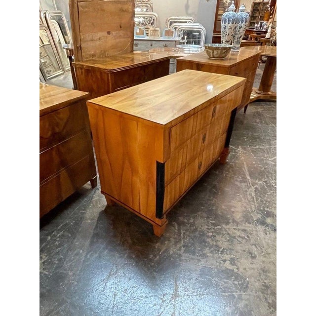 19th Century Period German Biedermeier Blond Walnut and Ebony Commode For Sale - Image 5 of 8