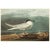 John James Audubon 1966 Vintage Cottage Print "Sandwich Tern & American Coot" After John James Audubon For Sale - Image 4 of 7