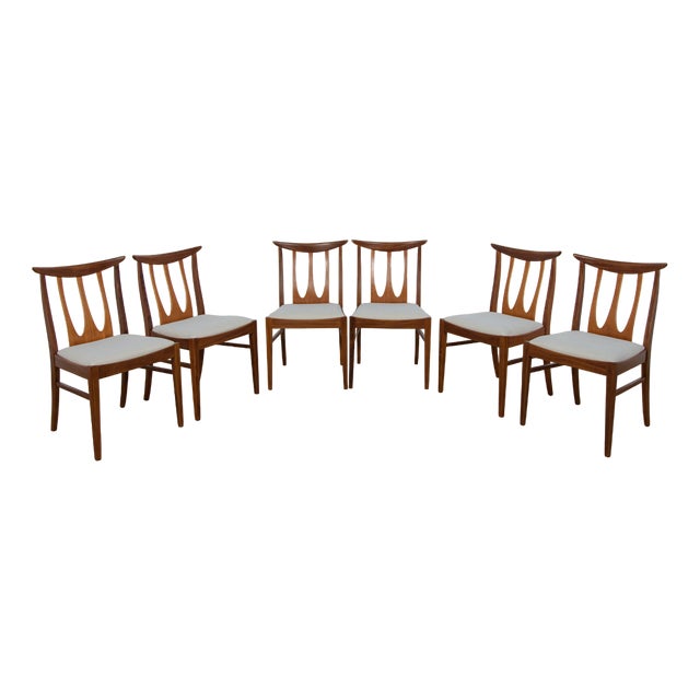 Brasilia Dining Chairs from G-Plan, 1960s, Set of 6 For Sale