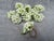 White Green Floral Napkin Ring - Set of 10 For Sale - Image 11 of 16