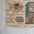Vintage School Poster of Insectivorous Animals / Rabbit, 1950s For Sale - Image 8 of 11