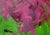 An original abstract acrylic on canvas painting by contemporary Abstract Expressionist artist Robbie Kemper (Cincinnati;...