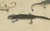 19th Century Bertuch, Lizards and Newts, Eight Species, 1805, Print For Sale - Image 5 of 12