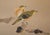 "Sparrows and Persimmon", Showa Era Japanese Yamato-E Style Byobu Screen For Sale - Image 12 of 18