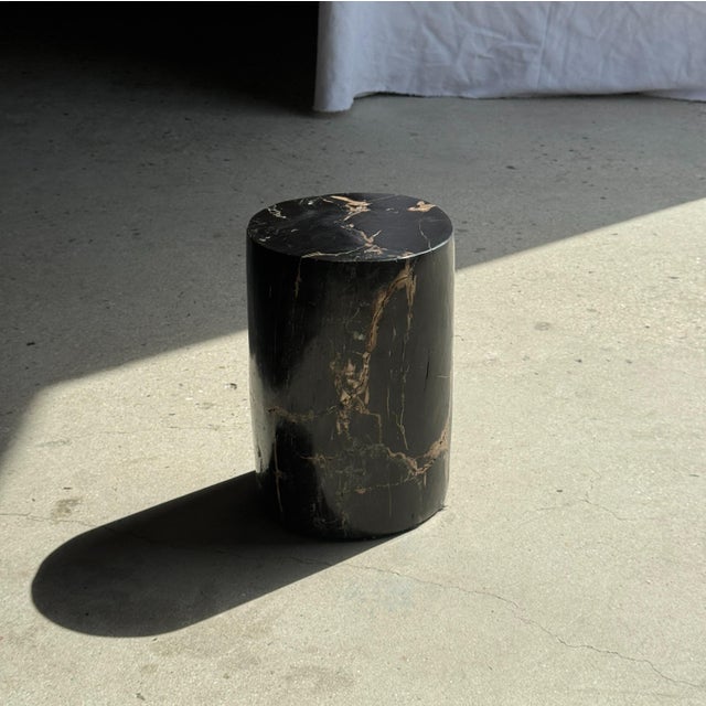 Small Side Table in Black Petrified Wood with Striates and Beige Lower Side For Sale - Image 13 of 18