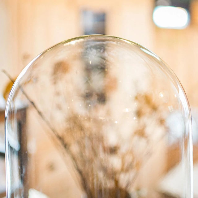 Late 19th Century 1890's Tall Antique Taxidermy Showcase For Sale - Image 5 of 10