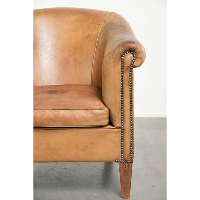 Sheepskin Club Armchair Light Cognac with Decorative Nails For Sale - Image 9 of 14