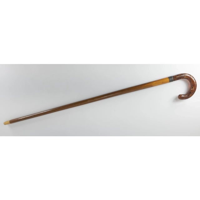 We are selling this great and unusual Cane. This cane or walking stick has very typical Malacca wood shaft, what makes it...