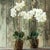 Traditional Phalaenopsis Orchid Drop-In 23" For Sale - Image 3 of 5