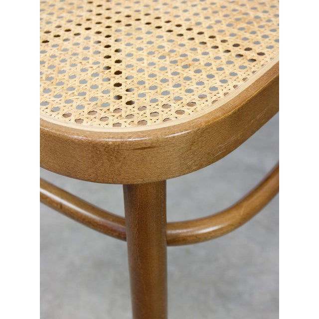 No. 811 Bentwood Chairs attributed to Michael Thonet, Set of 2 For Sale - Image 5 of 18