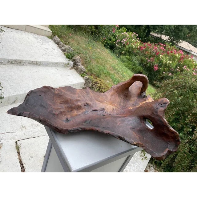 Brown Large Brutalist Wood Bowl in Brown Patina, France, 1960s For Sale - Image 8 of 10