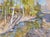 Valery Bayda, In the April Sun, 2025, Oil Painting on Canvas For Sale - Image 4 of 4