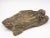 Vintage Reconstituted Stone Turtle Garden Ornament, England Mid 20th Century For Sale - Image 4 of 8