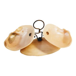 Art Nouveau Natural Oyster Shell Double Dish For Sale