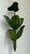 Vintage Green Banana Leaf Six Arm Chandelier For Sale - Image 10 of 12
