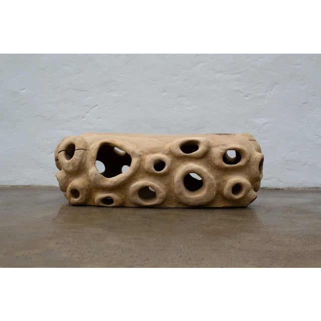 An organic bench inspired and created with underwater sea organisms in mind. Hand carved with chainsaws and chisels. This...