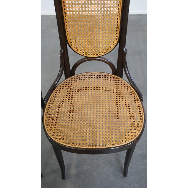 Set of Vintage Bentwood Dining Room Chairs by Michael Thonet For Sale - Image 6 of 13